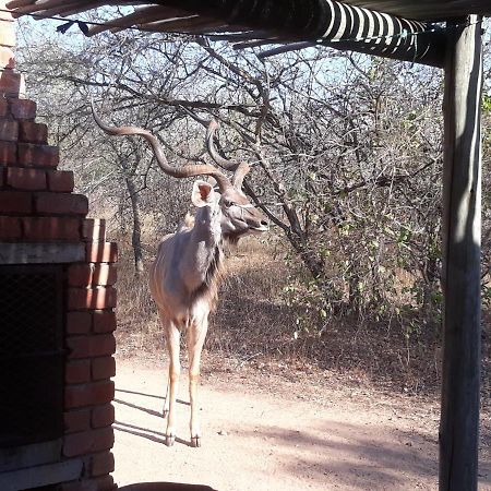 Villa Eagle's Crest à Marloth Park Extérieur photo