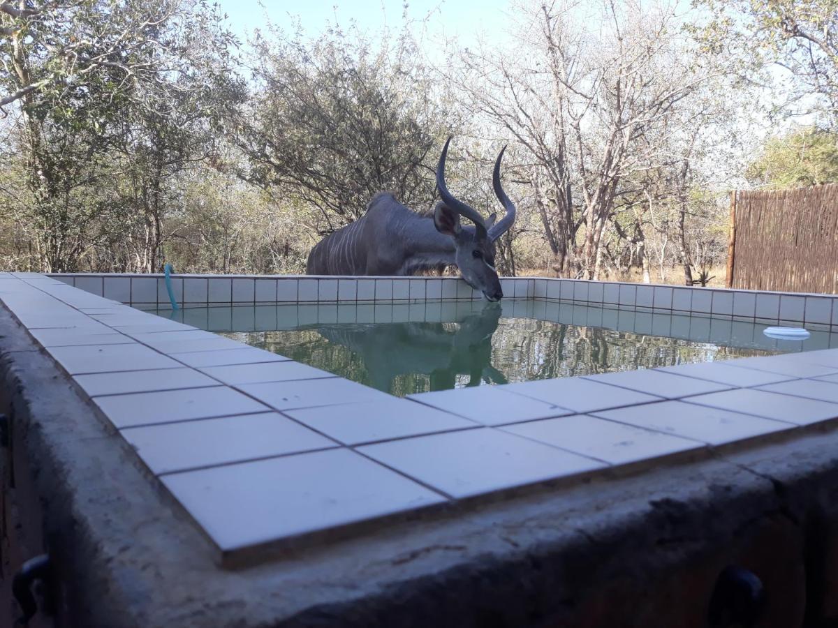 Villa Eagle's Crest à Marloth Park Extérieur photo