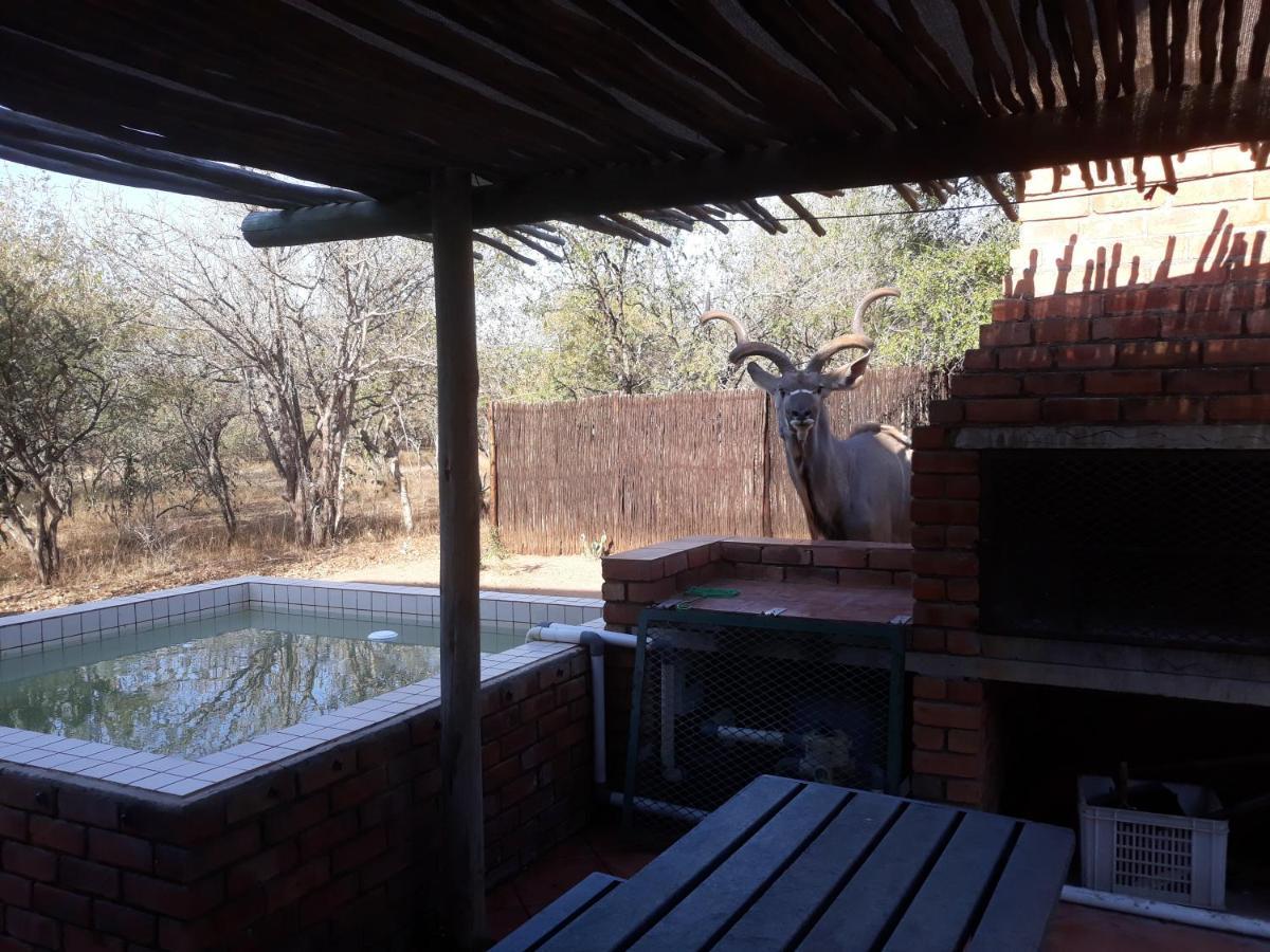 Villa Eagle's Crest à Marloth Park Extérieur photo