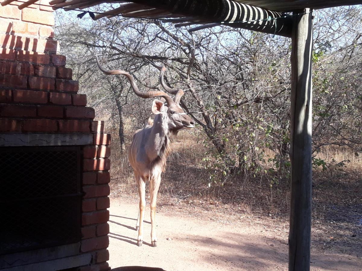 Villa Eagle's Crest à Marloth Park Extérieur photo