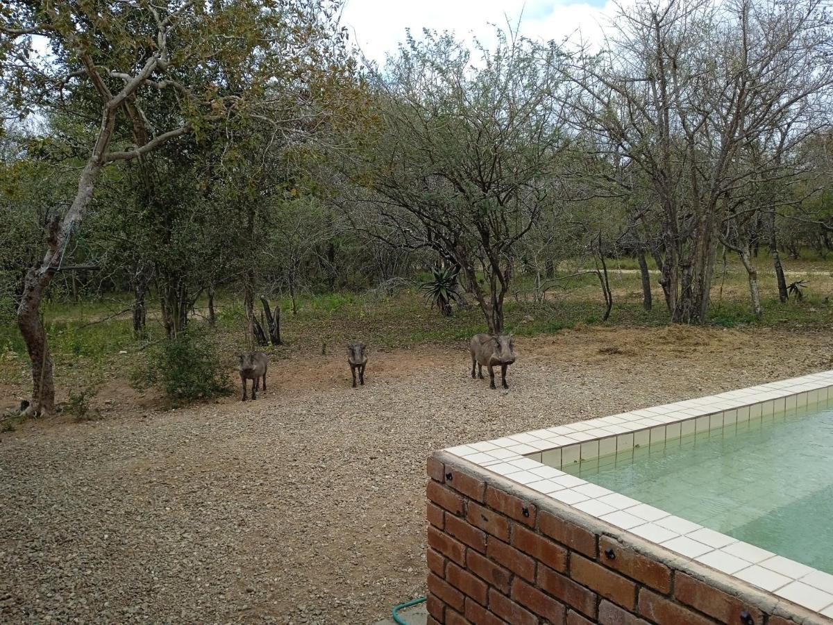 Villa Eagle's Crest à Marloth Park Extérieur photo