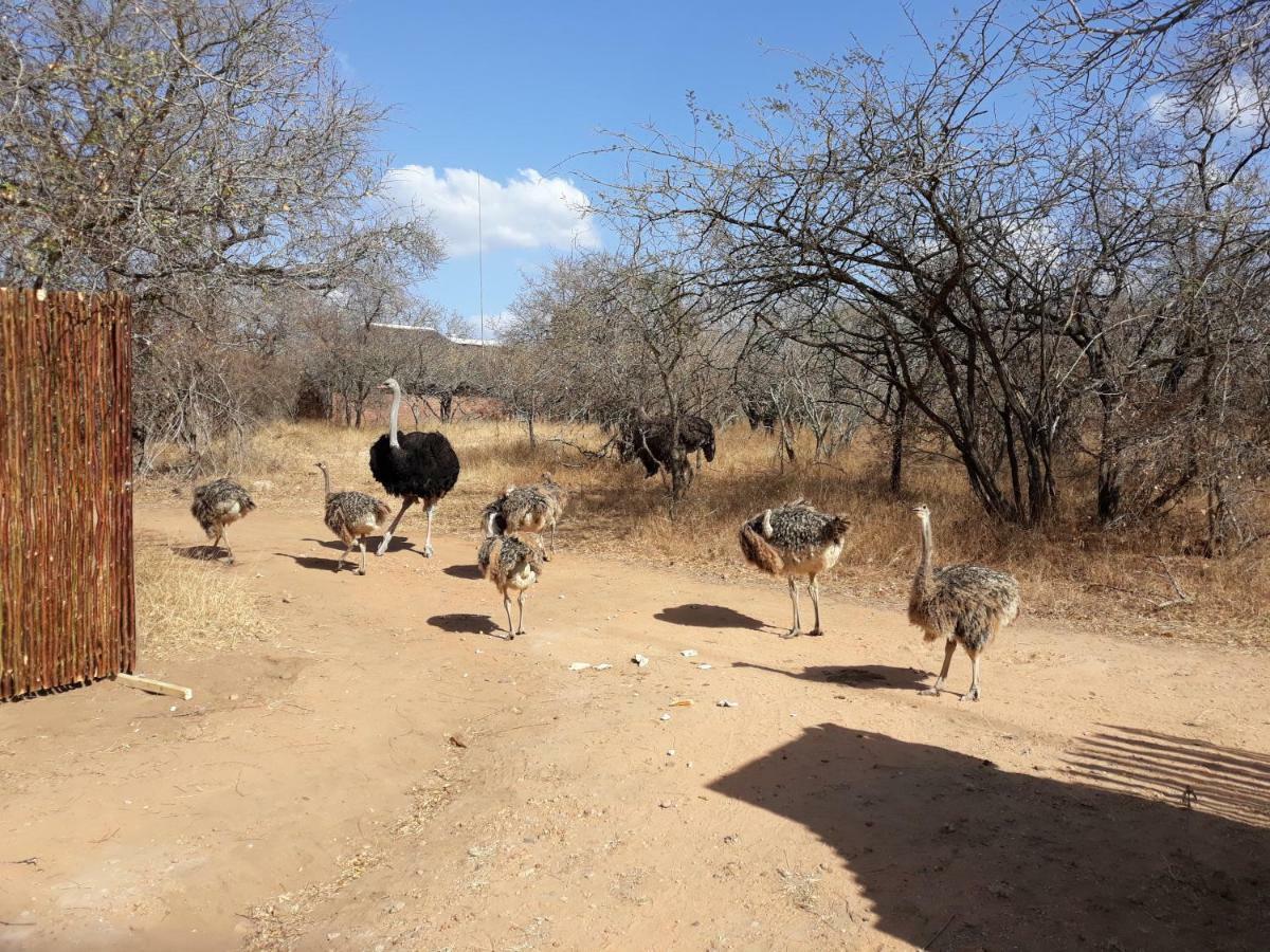 Villa Eagle's Crest à Marloth Park Extérieur photo